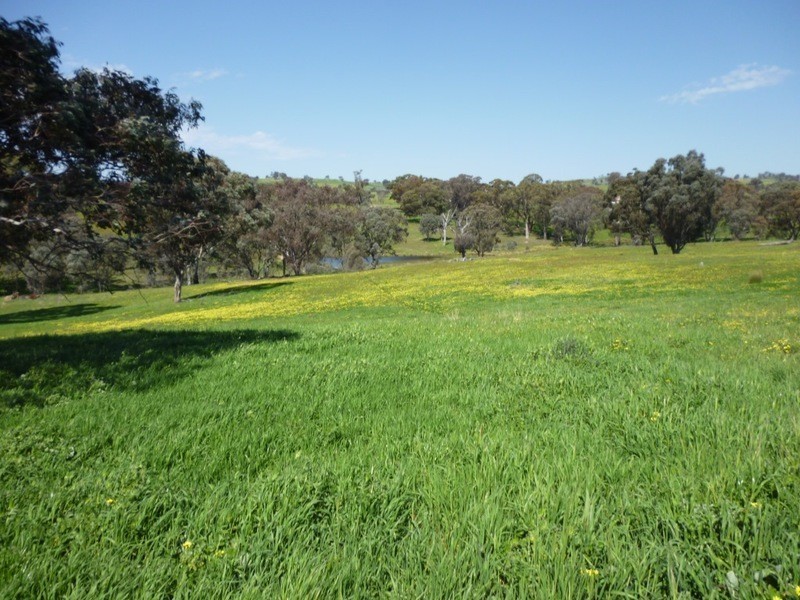 Lot 245 Hearn Street, Bigga NSW 2583