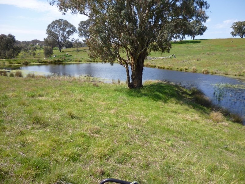 Lot 245 Hearn Street, Bigga NSW 2583