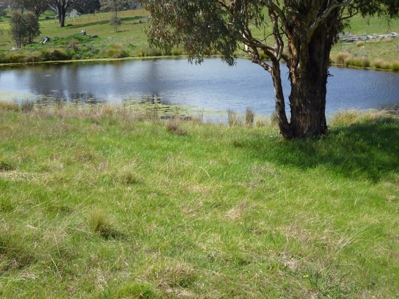 Lot 245 Hearn Street, Bigga NSW 2583