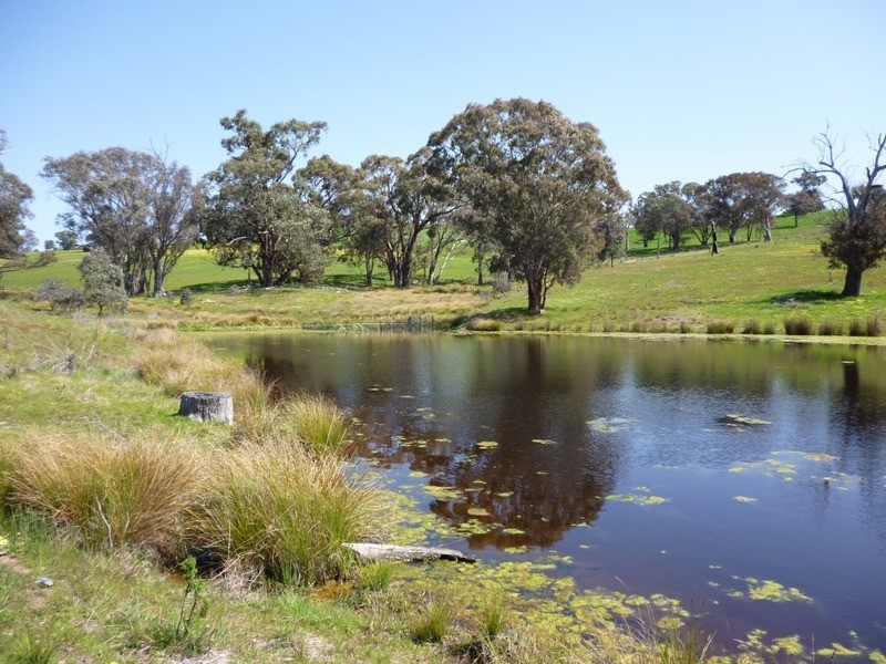 Lot 245 Hearn Street, Bigga NSW 2583