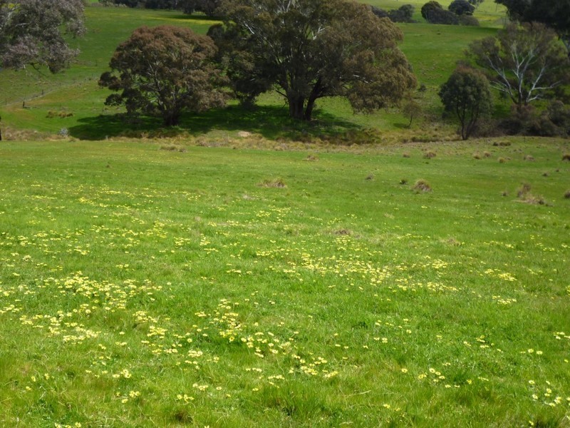 Lot 1 Hailstone Street, Bigga NSW 2583