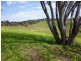 Lot 1 Hailstone Street, Bigga NSW 2583