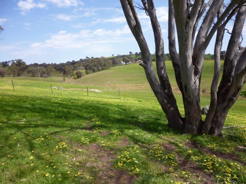 Lot 1 Hailstone Street, Bigga NSW 2583