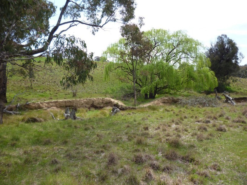 Lot 1 Hailstone Street, Bigga NSW 2583