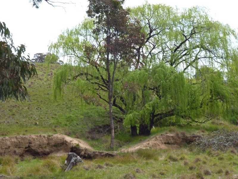 Lot 1 Hailstone Street, Bigga NSW 2583