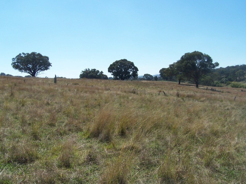 Lot 1 Hailstone Street, Bigga NSW 2583