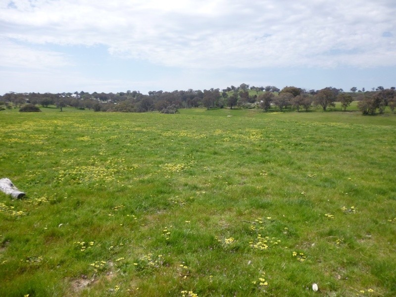 Lot 1 Hailstone Street, Bigga NSW 2583