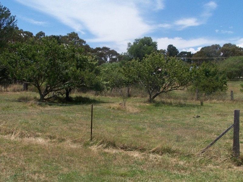 Lots 8 & 9 Tuena Street, Bigga NSW 2583