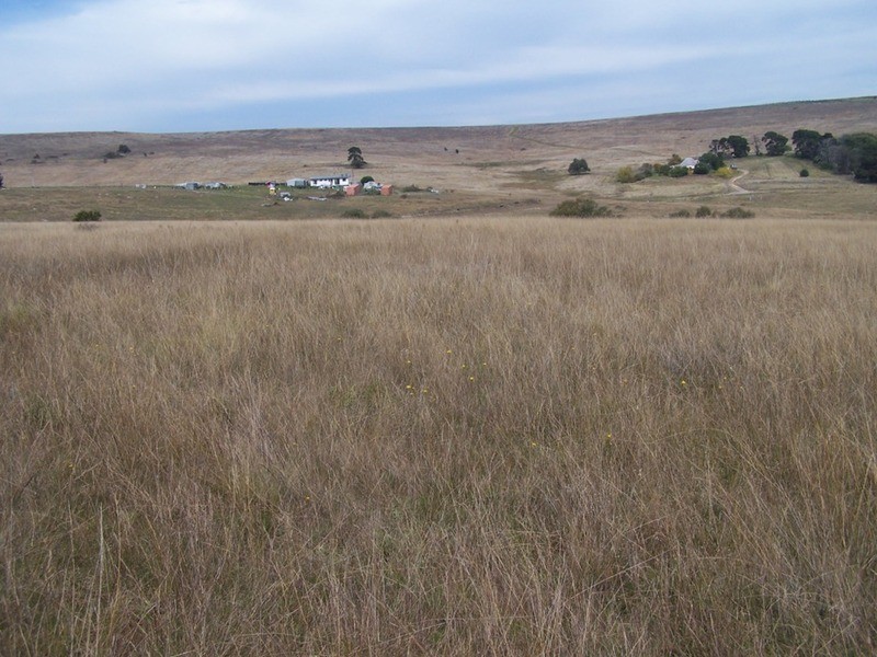 176 Pomeroy Mill Ford Road, Goulburn NSW 2580