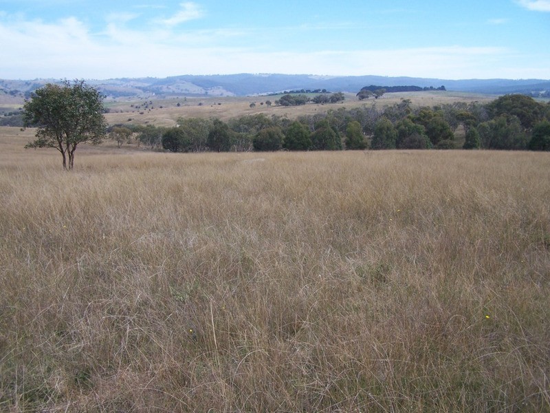 176 Pomeroy Mill Ford Road, Goulburn NSW 2580