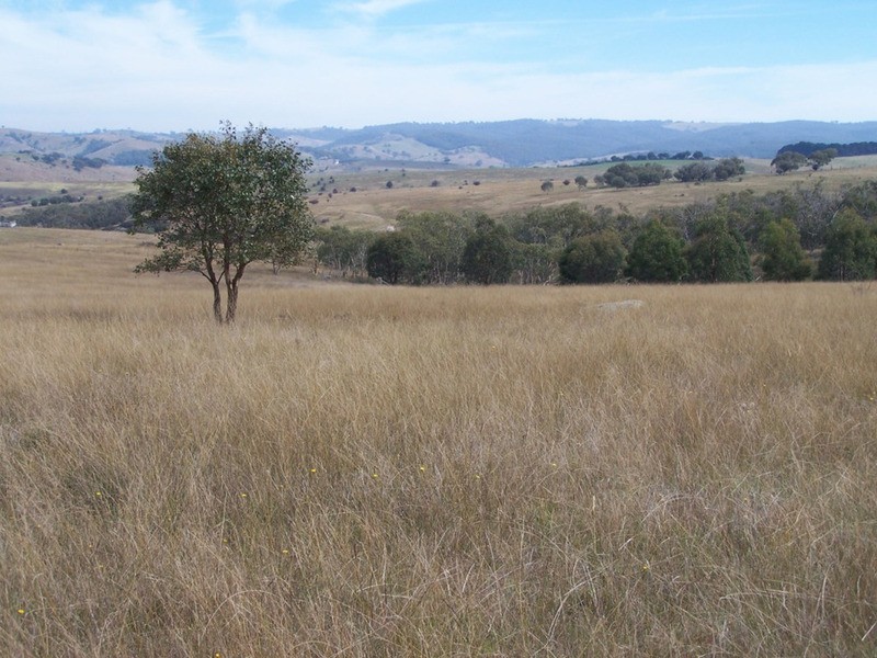 176 Pomeroy Mill Ford Road, Goulburn NSW 2580