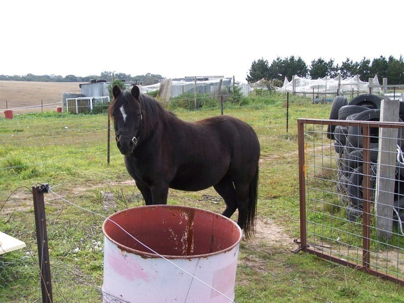 176 Pomeroy Mill Ford Road, Goulburn NSW 2580