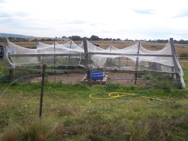 176 Pomeroy Mill Ford Road, Goulburn NSW 2580