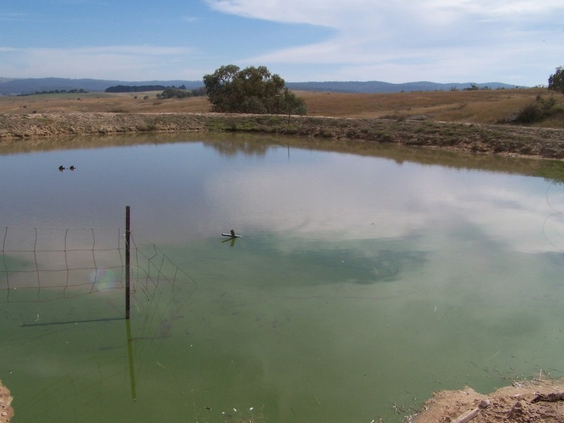 176 Pomeroy Mill Ford Road, Goulburn NSW 2580