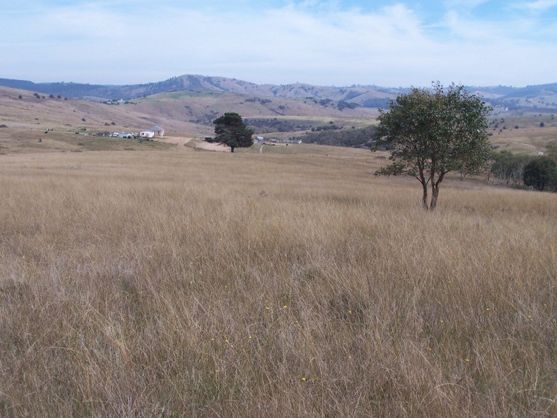 176 Pomeroy Mill Ford Road, Goulburn NSW 2580