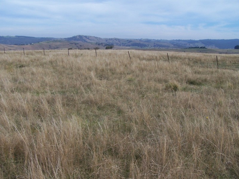 176 Pomeroy Mill Ford Road, Goulburn NSW 2580