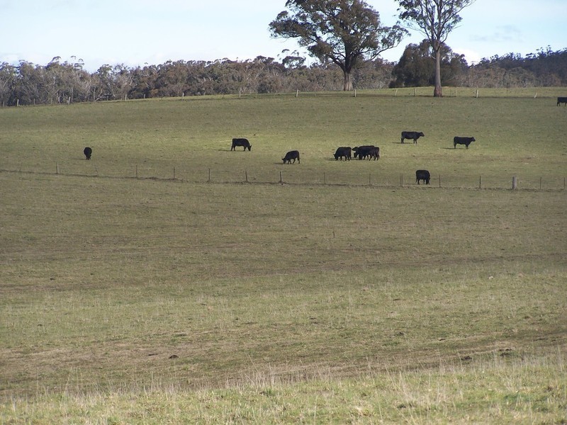 Lot 8 Bannaby Road, Bannaby NSW 2580