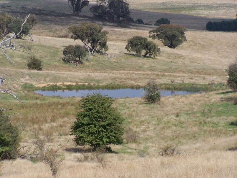 280 Craig Road, Taralga NSW 2580