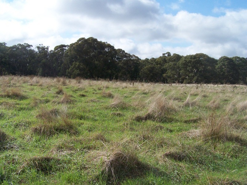 280 Craig Road, Taralga NSW 2580