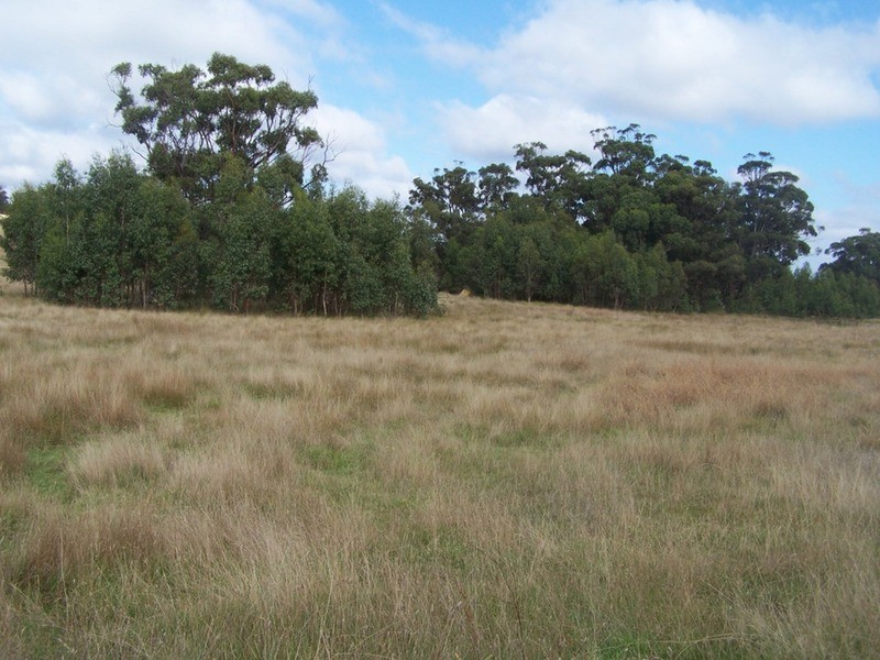 280 Craig Road, Taralga NSW 2580