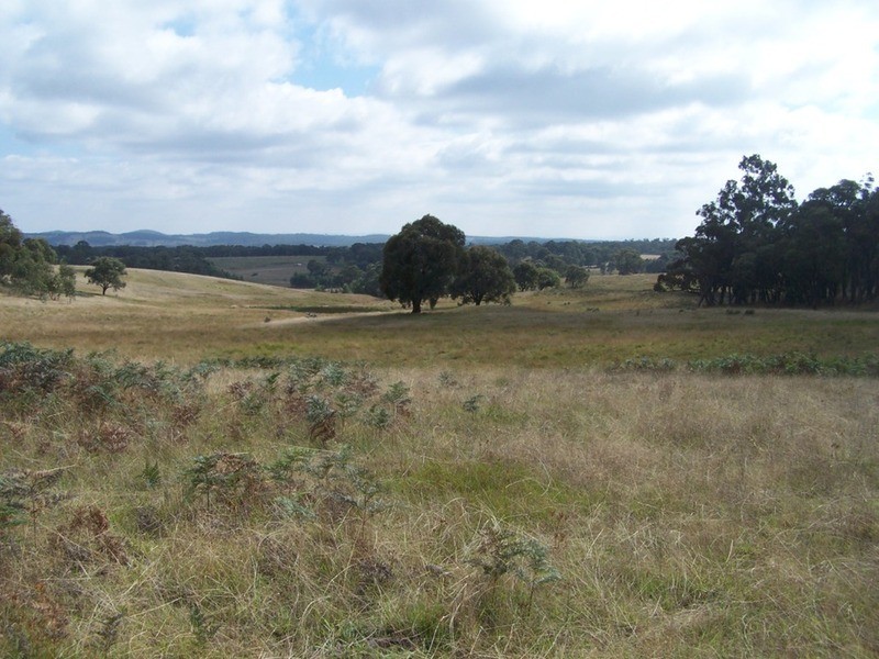 280 Craig Road, Taralga NSW 2580