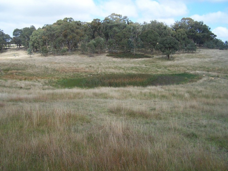 280 Craig Road, Taralga NSW 2580