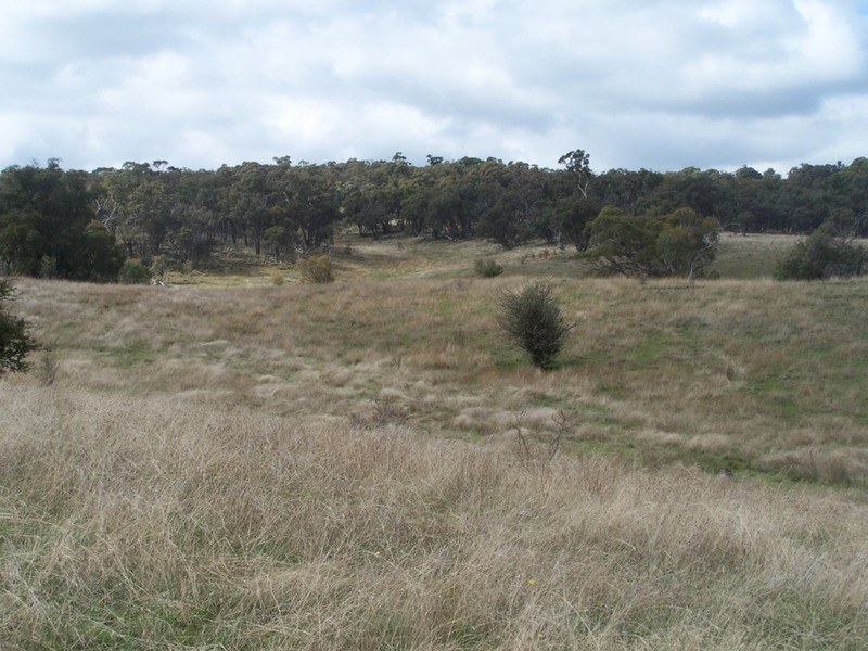 280 Craig Road, Taralga NSW 2580