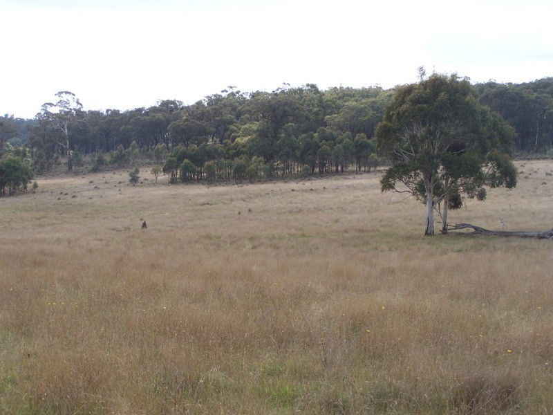 280 Craig Road, Taralga NSW 2580