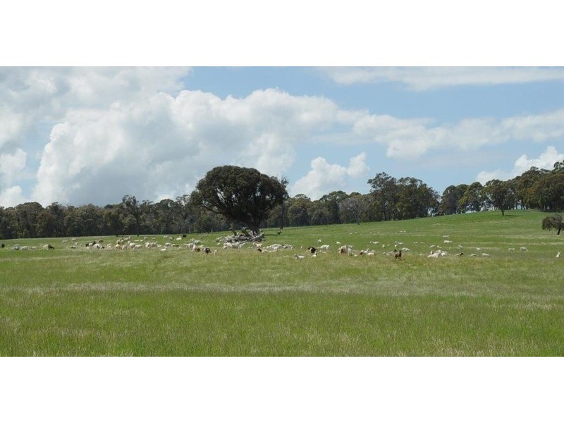 Lot 2 Boongarra Road, Crookwell NSW 2583