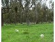 Lot 2 Boongarra Road, Crookwell NSW 2583