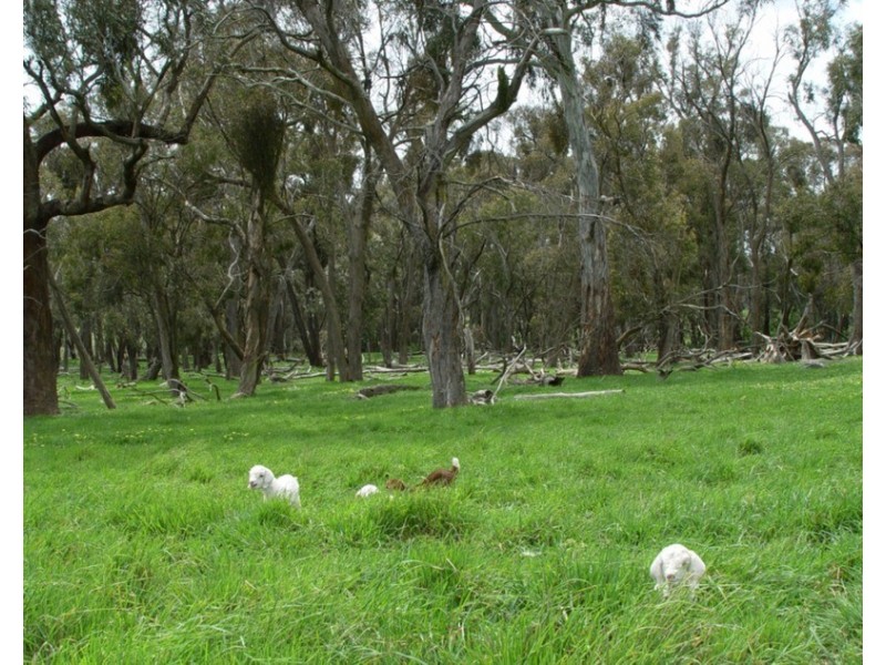 Lot 2 Boongarra Road, Crookwell NSW 2583