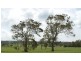 Lot 2 Boongarra Road, Crookwell NSW 2583