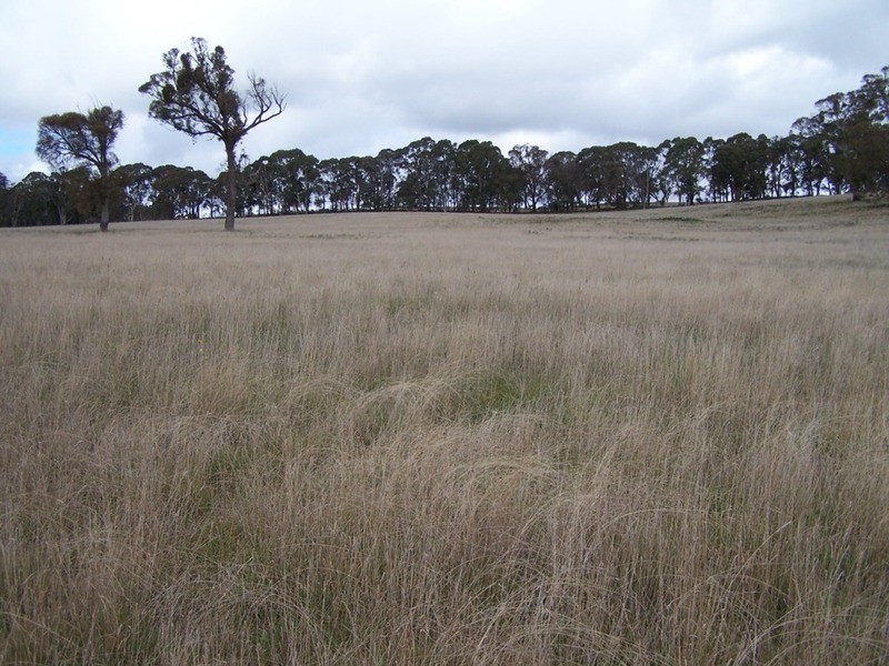 Lot 2 Boongarra Road, Crookwell NSW 2583