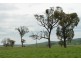 Lot 2 Boongarra Road, Crookwell NSW 2583