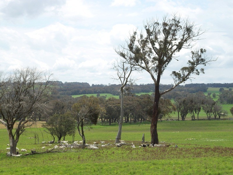 Lot 2 Boongarra Road, Crookwell NSW 2583