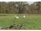 Lot 2 Boongarra Road, Crookwell NSW 2583