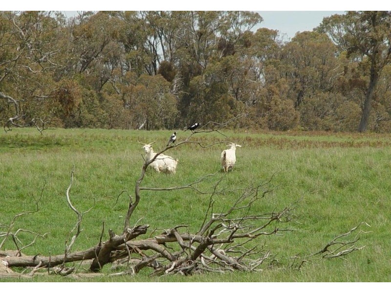 Lot 2 Boongarra Road, Crookwell NSW 2583