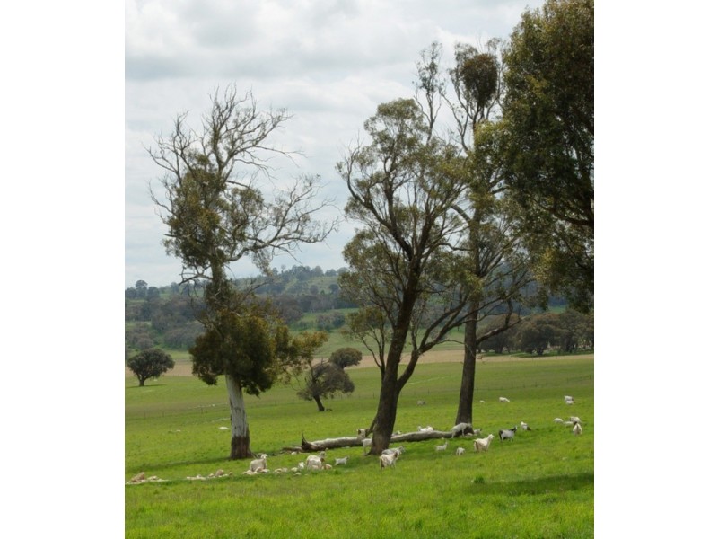 Lot 2 Boongarra Road, Crookwell NSW 2583