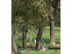 Lot 2 Boongarra Road, Crookwell NSW 2583