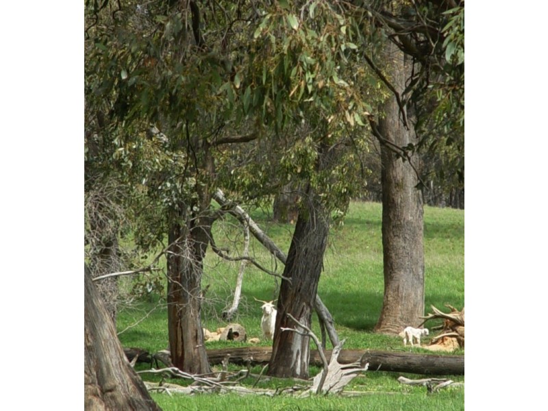 Lot 2 Boongarra Road, Crookwell NSW 2583