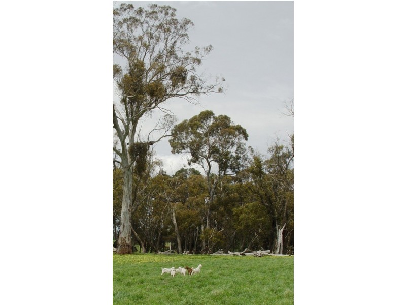 Lot 2 Boongarra Road, Crookwell NSW 2583
