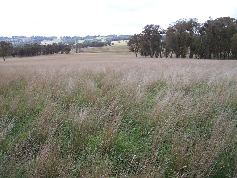 Lot 2 Boongarra Road, Crookwell NSW 2583