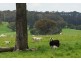 Lot 2 Boongarra Road, Crookwell NSW 2583