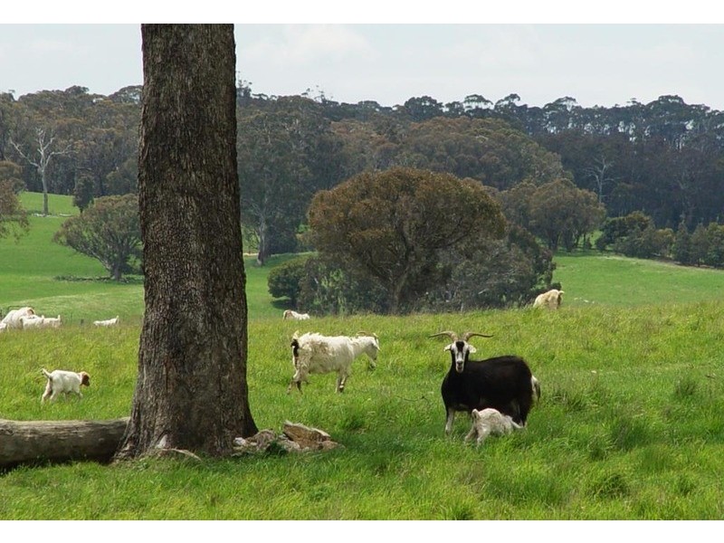 Lot 2 Boongarra Road, Crookwell NSW 2583