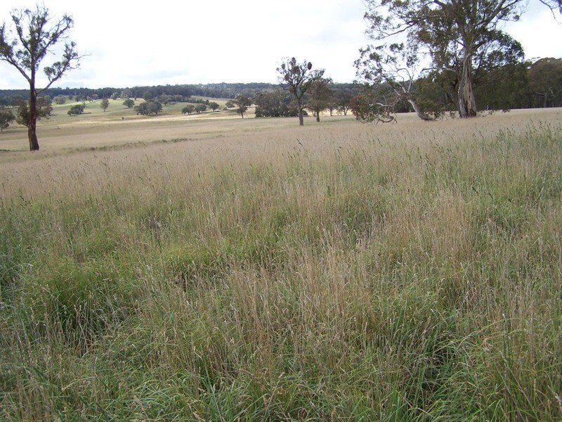 Lot 2 Boongarra Road, Crookwell NSW 2583