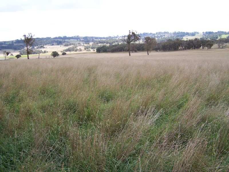 Lot 2 Boongarra Road, Crookwell NSW 2583