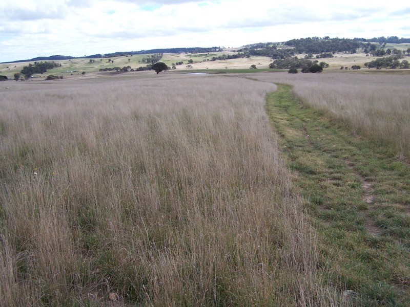 Lot 2 Boongarra Road, Crookwell NSW 2583