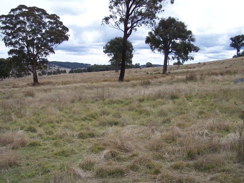 Lot 1 Cuddyong Road, Binda NSW 2583