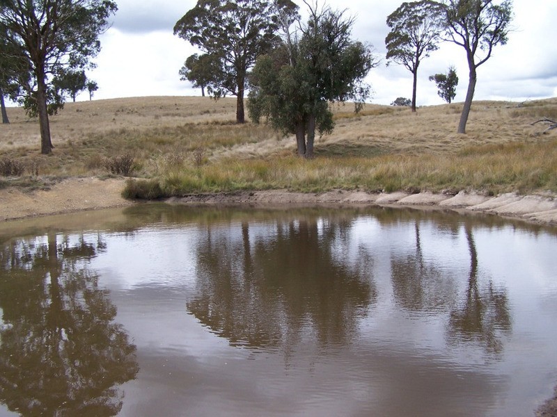 Lot 1 Cuddyong Road, Binda NSW 2583