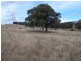 Lot 1 Cuddyong Road, Binda NSW 2583